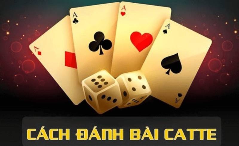 Catte Là Gì? Hướng Dẫn Chi Tiết Từ A Đến Z Cho Người Mới 1 Catte Là Gì? Hướng Dẫn Chi Tiết Từ A Đến Z Cho Người Mới
