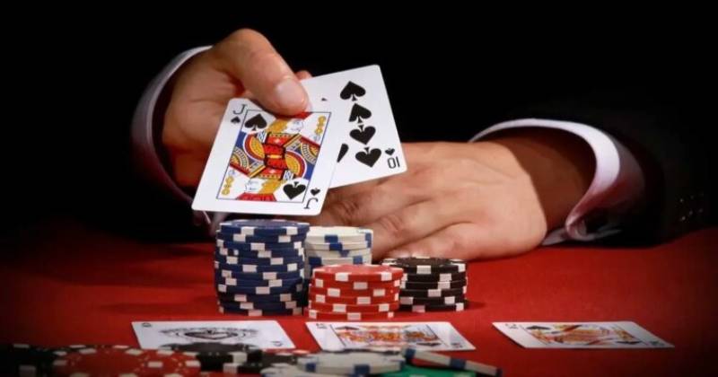 Catte Là Gì? Hướng Dẫn Chi Tiết Từ A Đến Z Cho Người Mới 3 Giai doan 1 Xac dinh nguoi ton